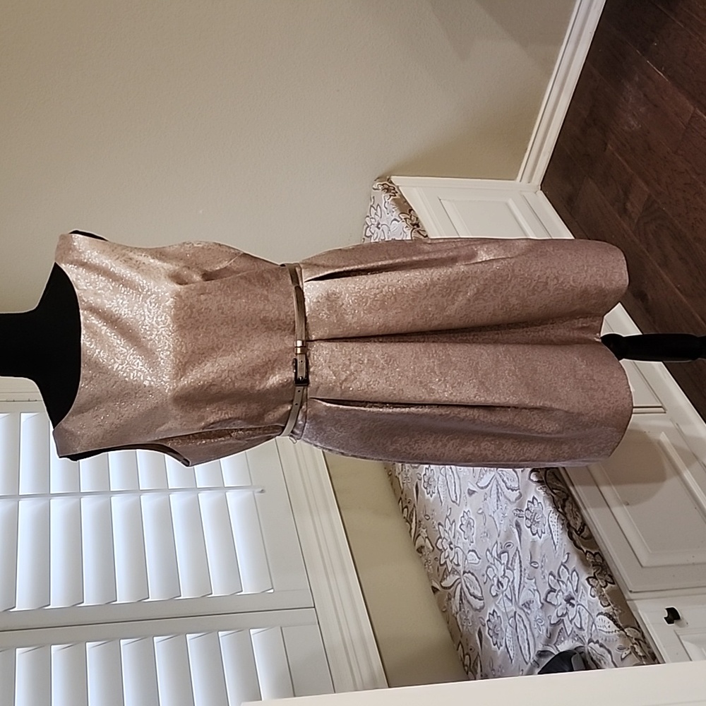 Ladies Dress